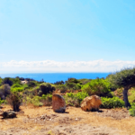 Case vacanze a Stintino Sardegna con giardino privato e area relax all'aperto.