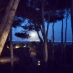 Casa vacanze a Stintino vicino La Pelosa, ideale per chi ama il mare e la natura.